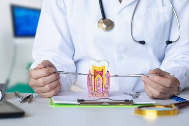 Best Mobile Emergency Dentist in Salamatof, AK